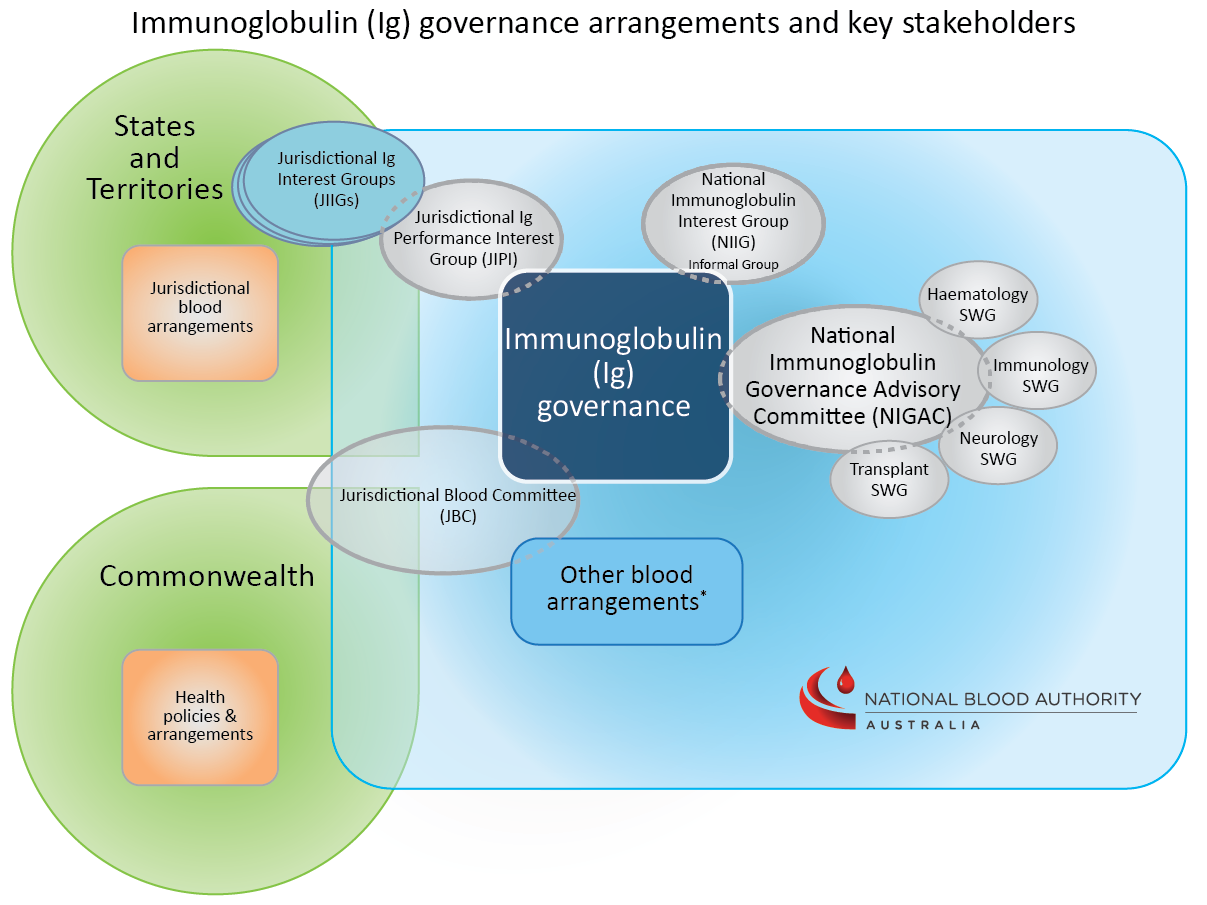 Illustrative diagram of the immunoglobulin governance arrangements and network of committees