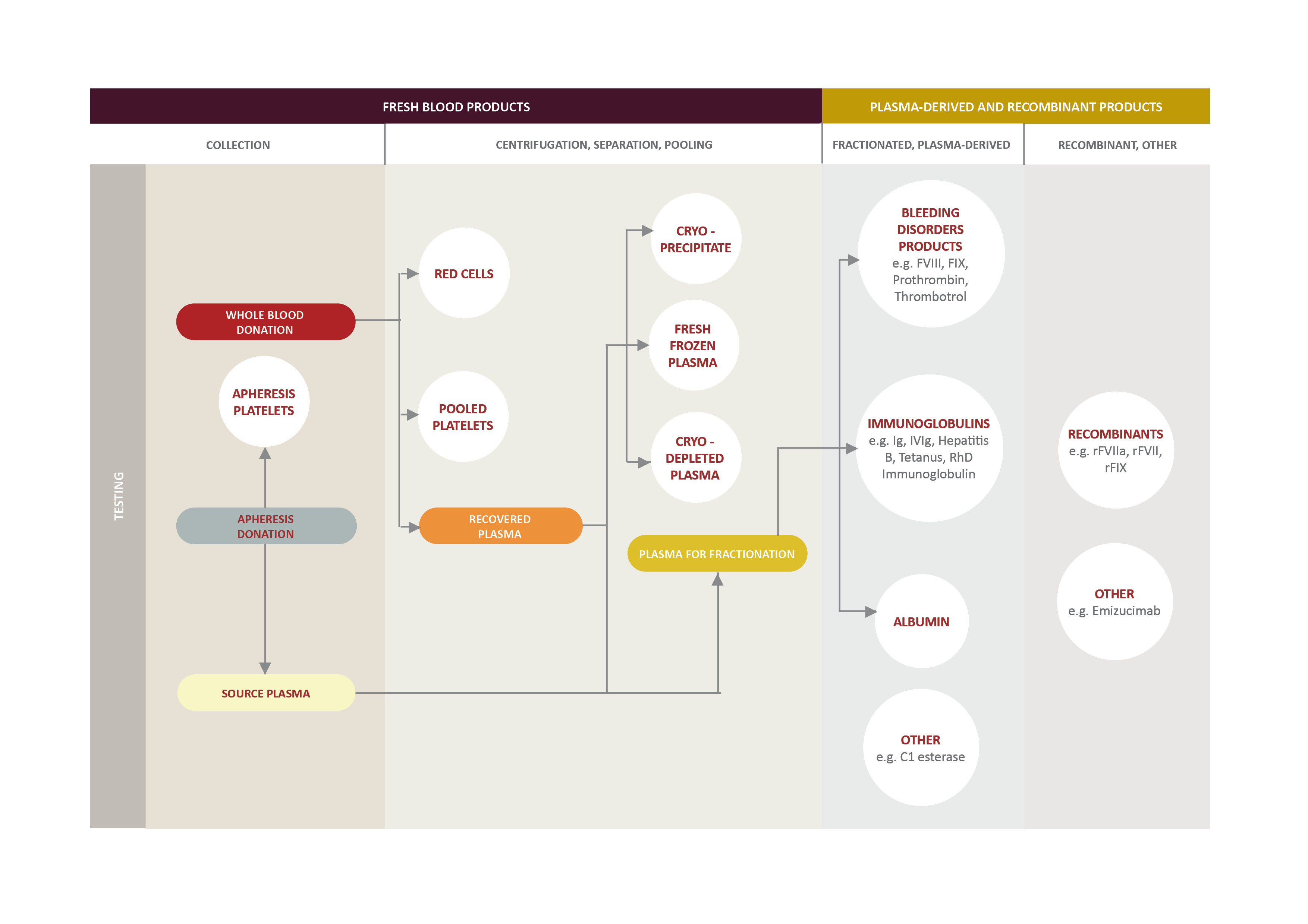 Image showing how donated blood is used to create different treatment products and which products are made from recombinant DNA technology and other methods.