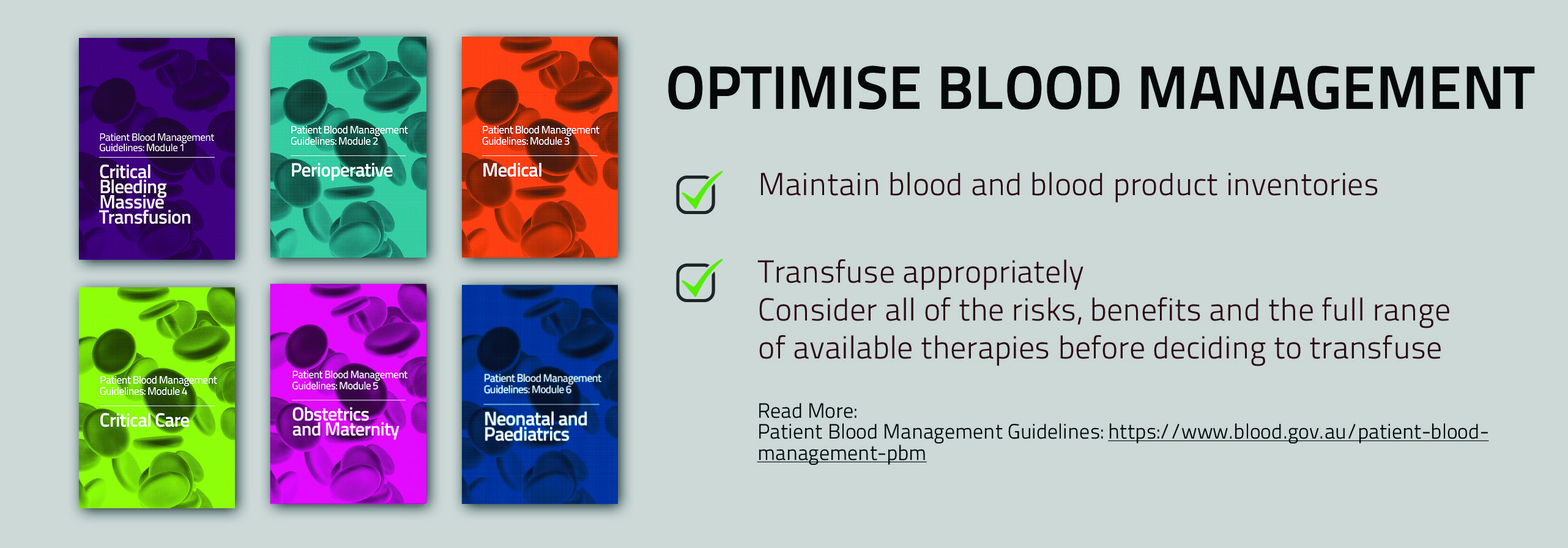 Optimise Blood Management banner
